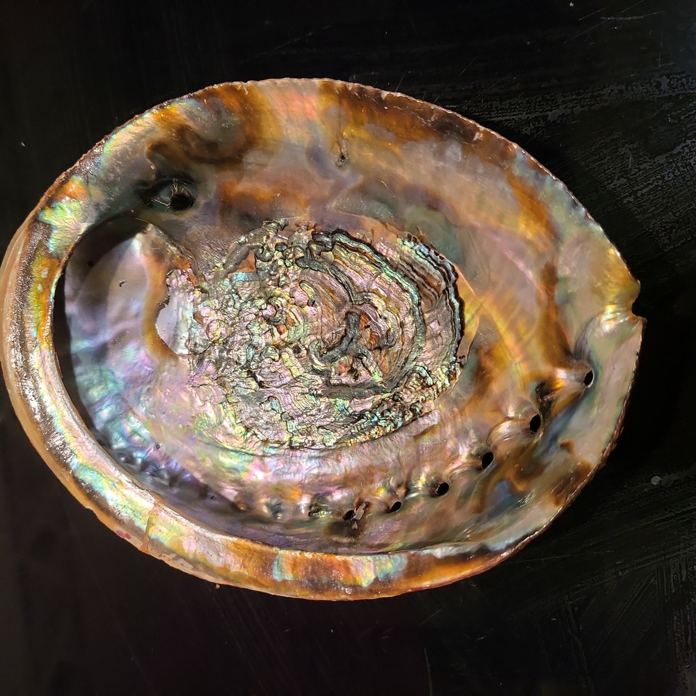 Vintage Beautiful Abalone Shell 6" - Picture 5 of 6